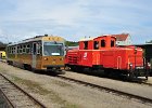 Lokparaden und Doppeltraktion 60 Jahre Diesellok 2095 (7)